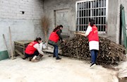 市纪委：志愿服务行 别样“三八”节