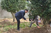 常德市纪委监委开展义务植树、精准扶贫活动