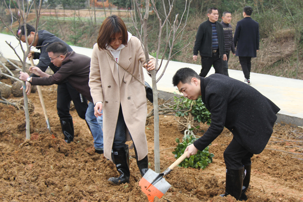 3扶正树木培根基.jpg