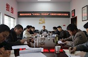 桃源：剖析问题找差距 全力整改促履职
