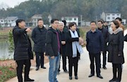 罗翠林一行到点村调研督导乡村振兴工作