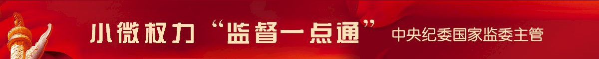 小微权力监督一点通
