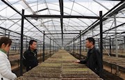 桃源：跟进监督守牢粮食“安全线”扎紧“米袋子”