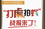 2020常德打虎拍蝇战报，来了！