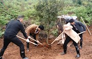 春学党史 植树添绿——市纪委市监委开展“学党史 见力行”义务植树活动