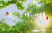 廉洁新说唱，我学雷锋好榜样！