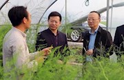 何艺辉到西湖管理区调研：护航营商环境，推进清廉建设