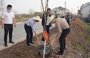 市纪委监委开展义务植树活动
