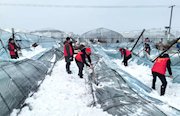 铲雪除冰保民生 常德纪检监察干部在行动