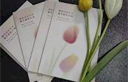 春风十里 不如有你——常德市纪委监委组织开展“柔肩担重任 巾帼绽芳华”主题活动