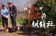 清廉第一课 | “消失”的供销社