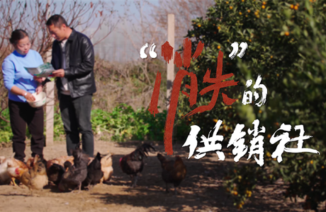 清廉第一课 | “消失”的供销社