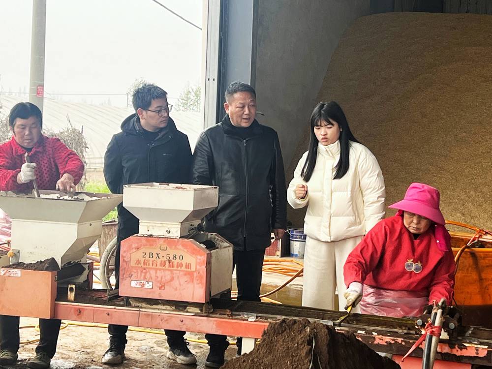 安乡(1)