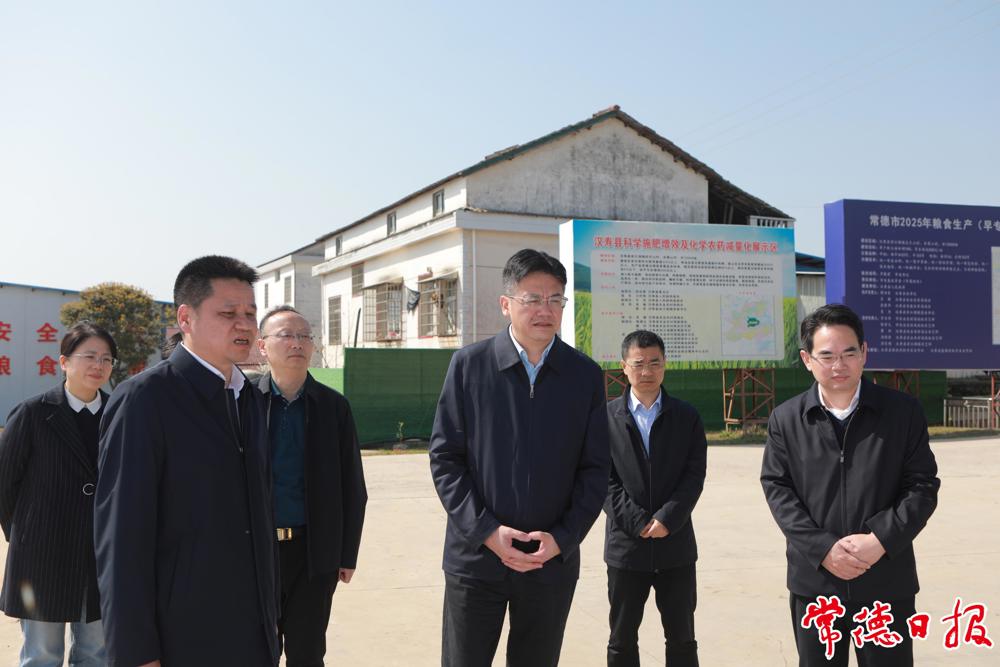 市委书记罗毅君在汉寿县岩汪湖镇武竺山村水稻生产万亩示范片调研