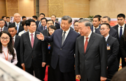 习近平同越共中央总书记苏林、越南国家主席梁强共同会见中越人民大联欢活动代表
