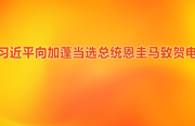 习近平向加蓬当选总统恩圭马致贺电