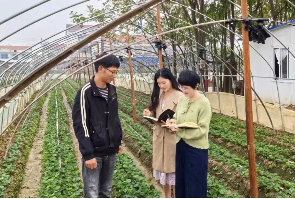 微信图片_20260326114228_31_147