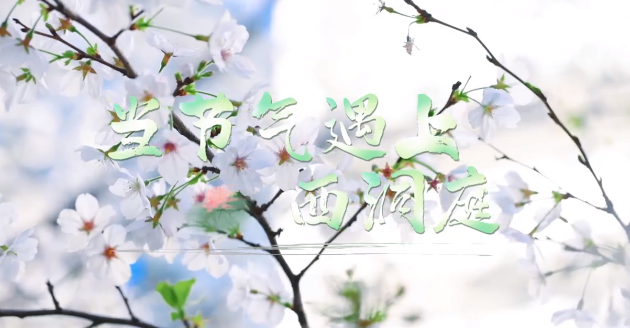 当节气遇上西洞庭 | 清明