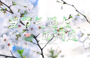 当节气遇上西洞庭 | 清明
