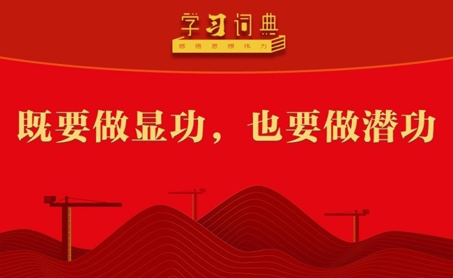 学习词典•树立和践行正确政绩观丨既要做显功，也要做潜功