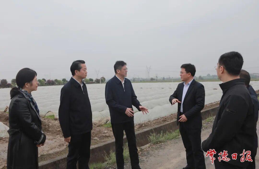 罗毅君赴桃源县调研