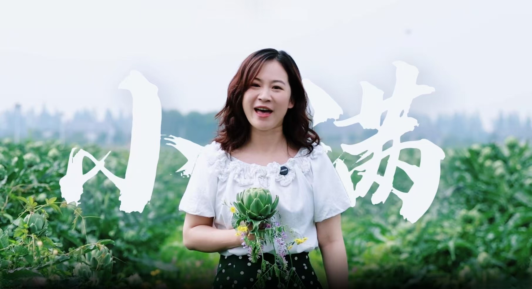 当节气遇上西洞庭 | 小满