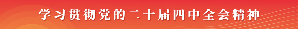 学习贯彻党的二十届四中全会精神